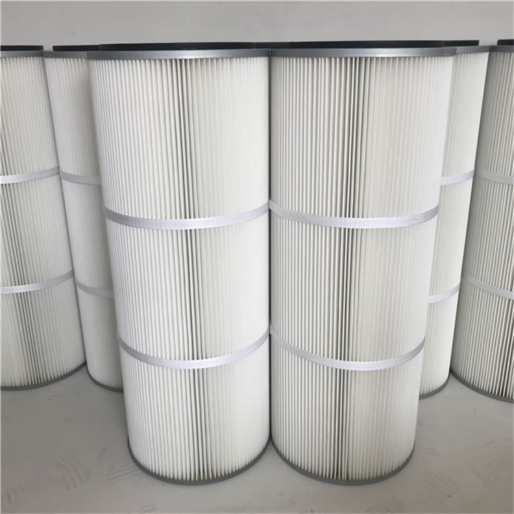 �����w�S�VͲ